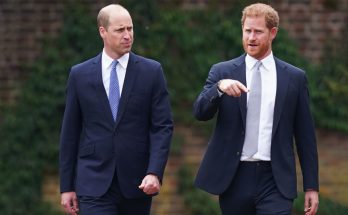 Why 'Reconciliation May Never Happen' Between Brothers Prince William & Harry