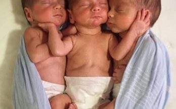 «The mother of identical triplets demonstrates how they look like now .» 😍