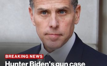 Judge in Hunter Biden's tax case accepts pardon despite calling it 'unconstitutional'