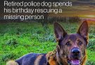 Retired police dog spends his birthday rescuing a missing person