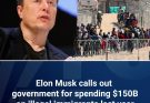 DOGE chief Musk bashes massive government spending on illegal immigrants: ‘Boggles the mind!’