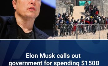 DOGE chief Musk bashes massive government spending on illegal immigrants: ‘Boggles the mind!’