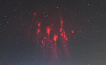 Rare image of Red Sprite Lightning wins top weather photography competition