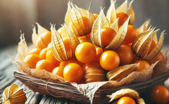 Goldenberries (Physalis peruviana): A Superfood for Vibrant Health and Clear Vision