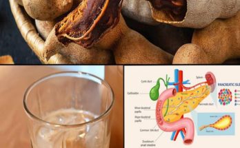 The Health Benefits of Tamarind: A Natural Boost for Digestive and Heart Health