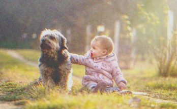 Man Hears His Dog Barking from Afar, Finds It Sitting near an Abandoned Baby – Story of the Day