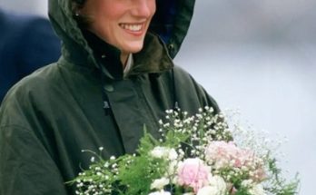 Exclusive images of Princess Diana.