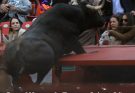 Crowd narrowly avoids injury after fighting bull leaps barrier during event in Mexico City