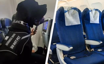 Airline passenger left outraged after discovering they were 'moved from seat' because of a dog