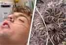 Terrifying moment influencer livestreams himself being bitten by snake and admitted to ICU