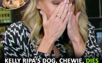 Kelly Ripa breaks down on TV after losing her 17-year-old dog