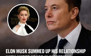 Elon Musk summed up his relationship with Amber Heard in incredibly blunt way The tech boss shares details about his romance with actor Amber Heard